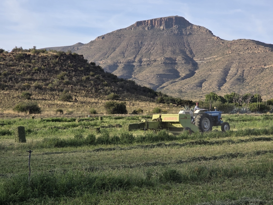 0 Bedroom Property for Sale in Middelburg Rural Eastern Cape